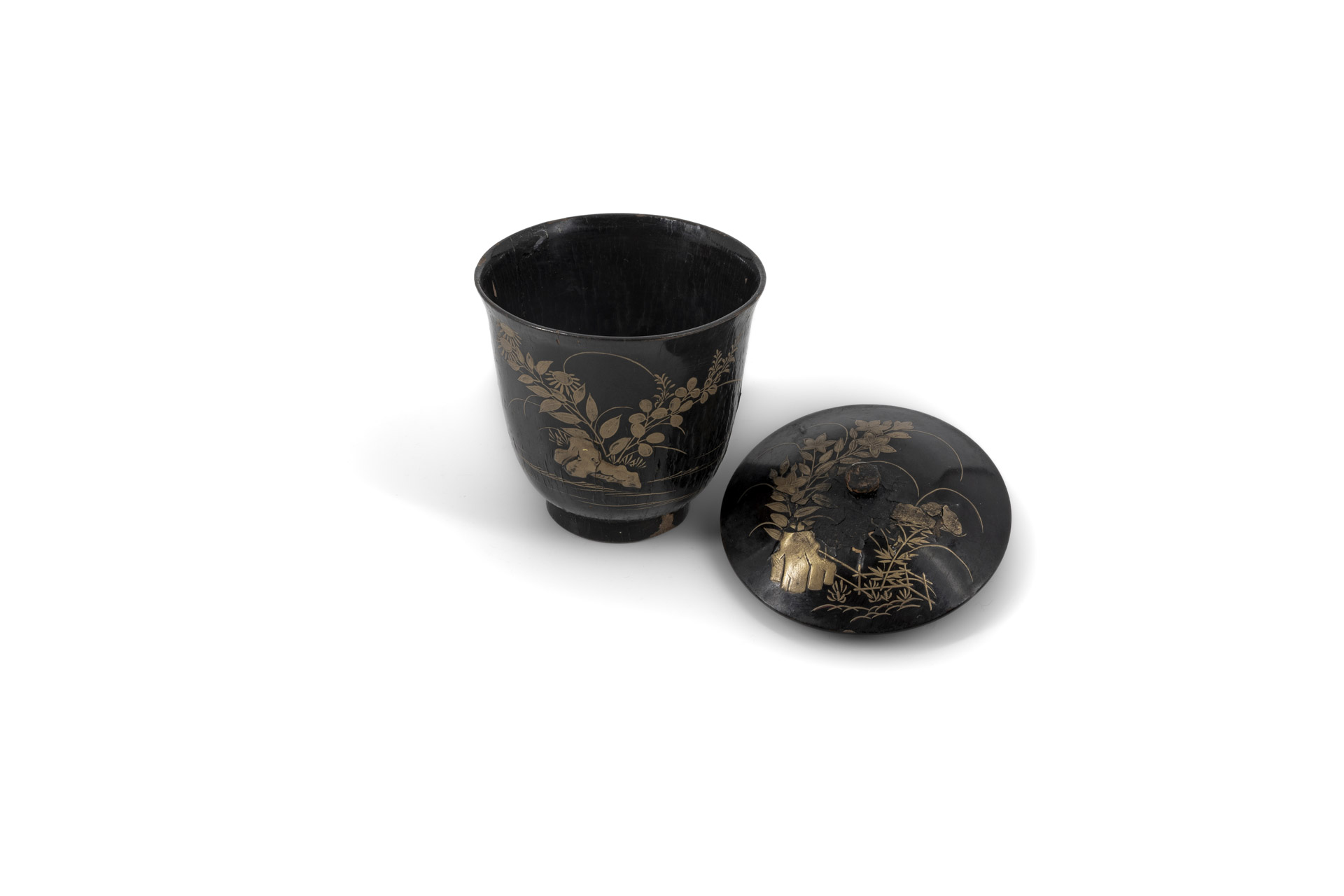 02112022-_N2A4094 copia